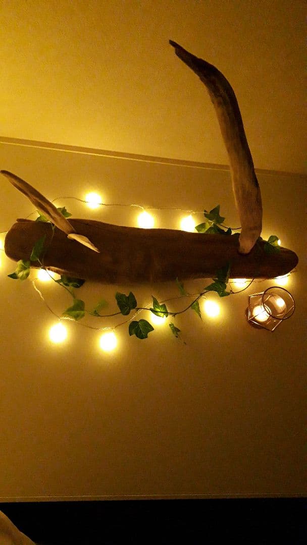 流木インテリア　アート　まとめ買い割引あり