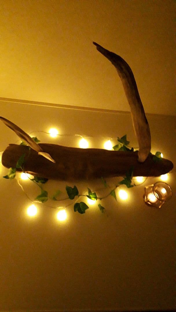 流木インテリア　アート　まとめ買い割引あり