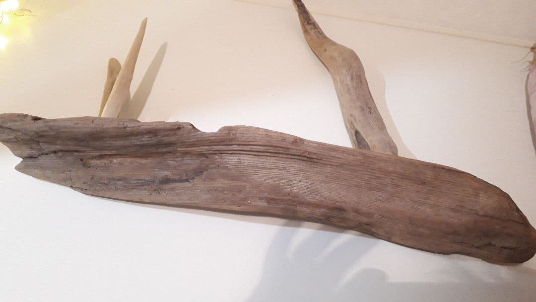 流木インテリア　アート　まとめ買い割引あり