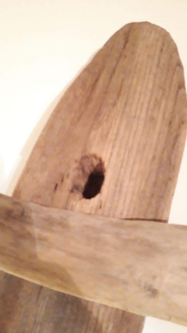 流木インテリア　アート　まとめ買い割引あり