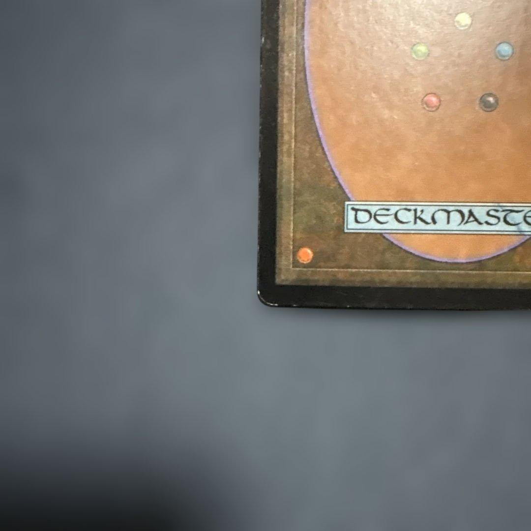 MTG 補充　日本語版２枚セット