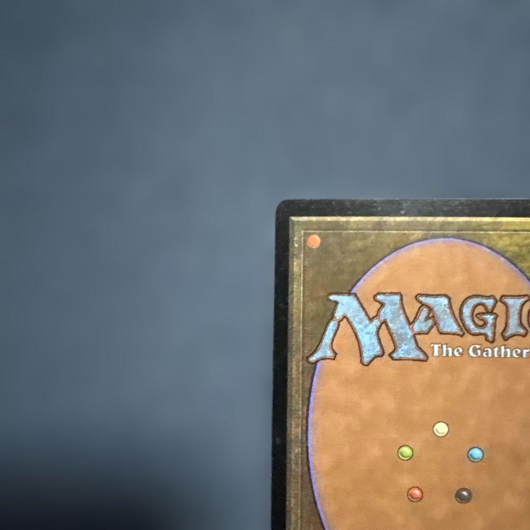 MTG 補充　日本語版２枚セット