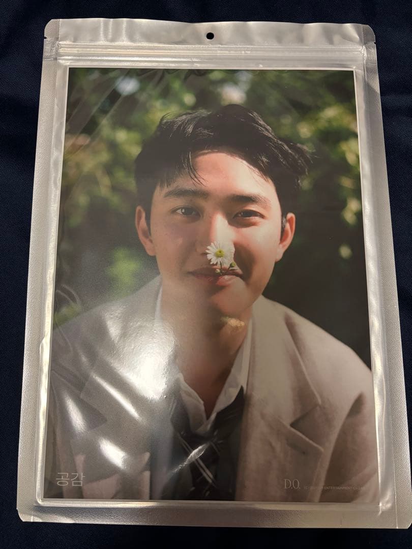 EXO D.O. ディオ ギョンス トレカ 共感 empathy グッズ