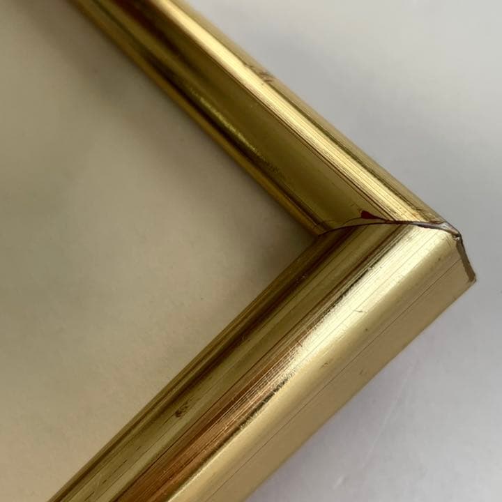 パブロピカソ　ネッソスを殺すヘラクレス　メタモルフォーズより　額入