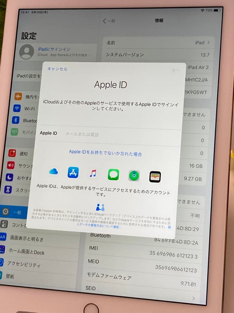 Apple iPad Air 2 wi-fi 第二世代 16GBピンクゴールド