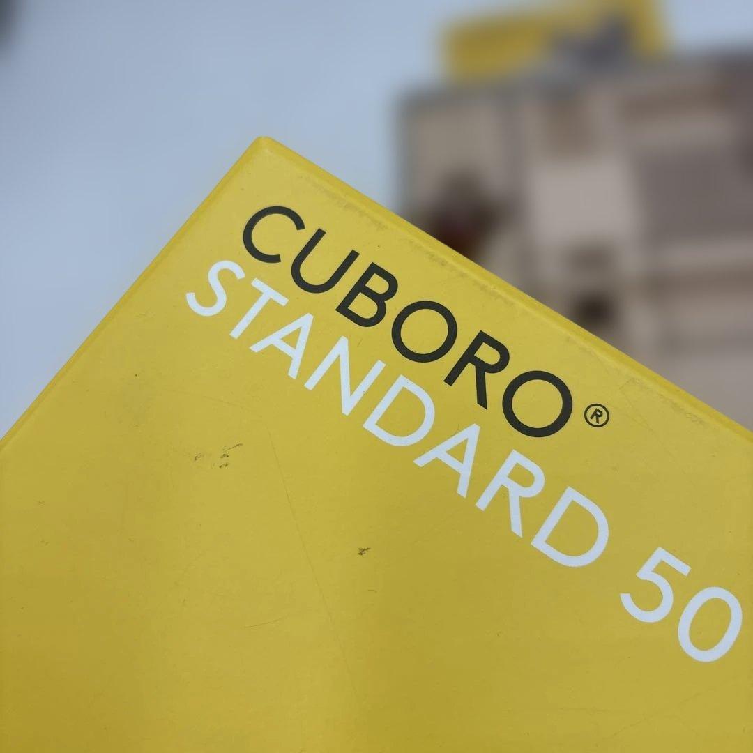 希少　スタンダード50 CUBORO STANDARD50 クボロ 木のおもちゃ