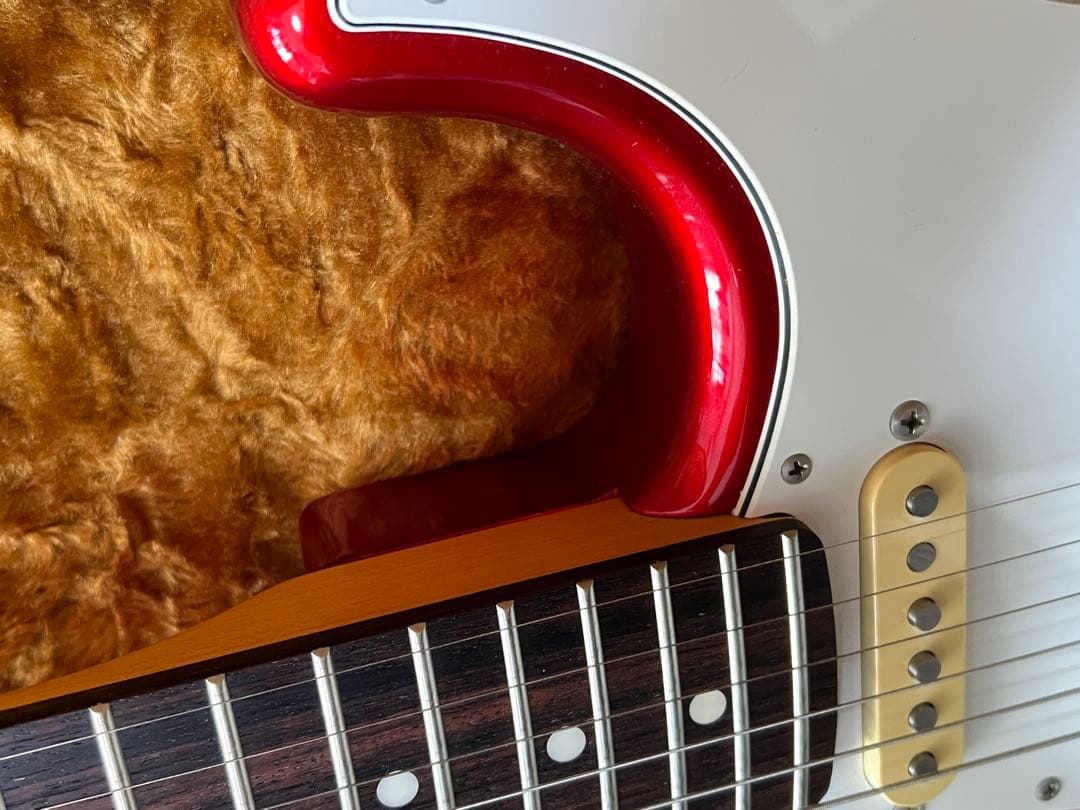 fujigen JST6Rストラトハードケース付き