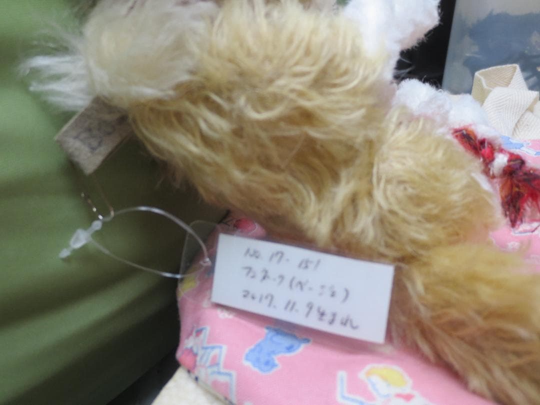 国内作家様　森脇様　ハンドメイドぬいぐるみ　フェネック　18㎝