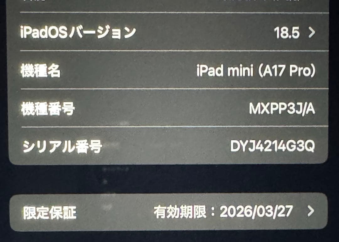 【Wi-Fi + Cellular】iPadmini A17Pro ブルー