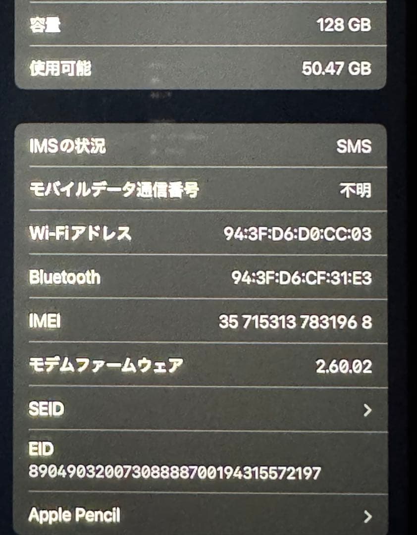 【Wi-Fi + Cellular】iPadmini A17Pro ブルー