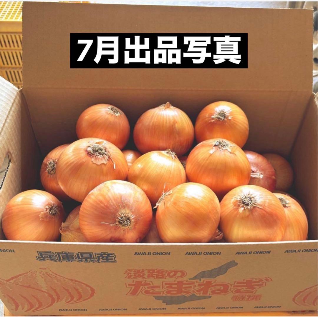 淡路島 玉ねぎ苗 ターザン 400本 たまねぎ苗 玉葱苗