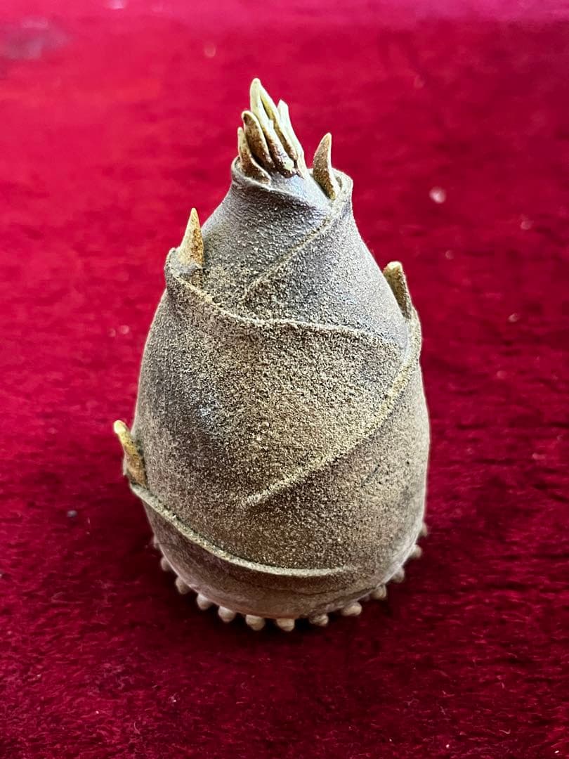 蒲池焼　竹の子　筍　陶器　置物　一輪挿し　細かな欠けあり
