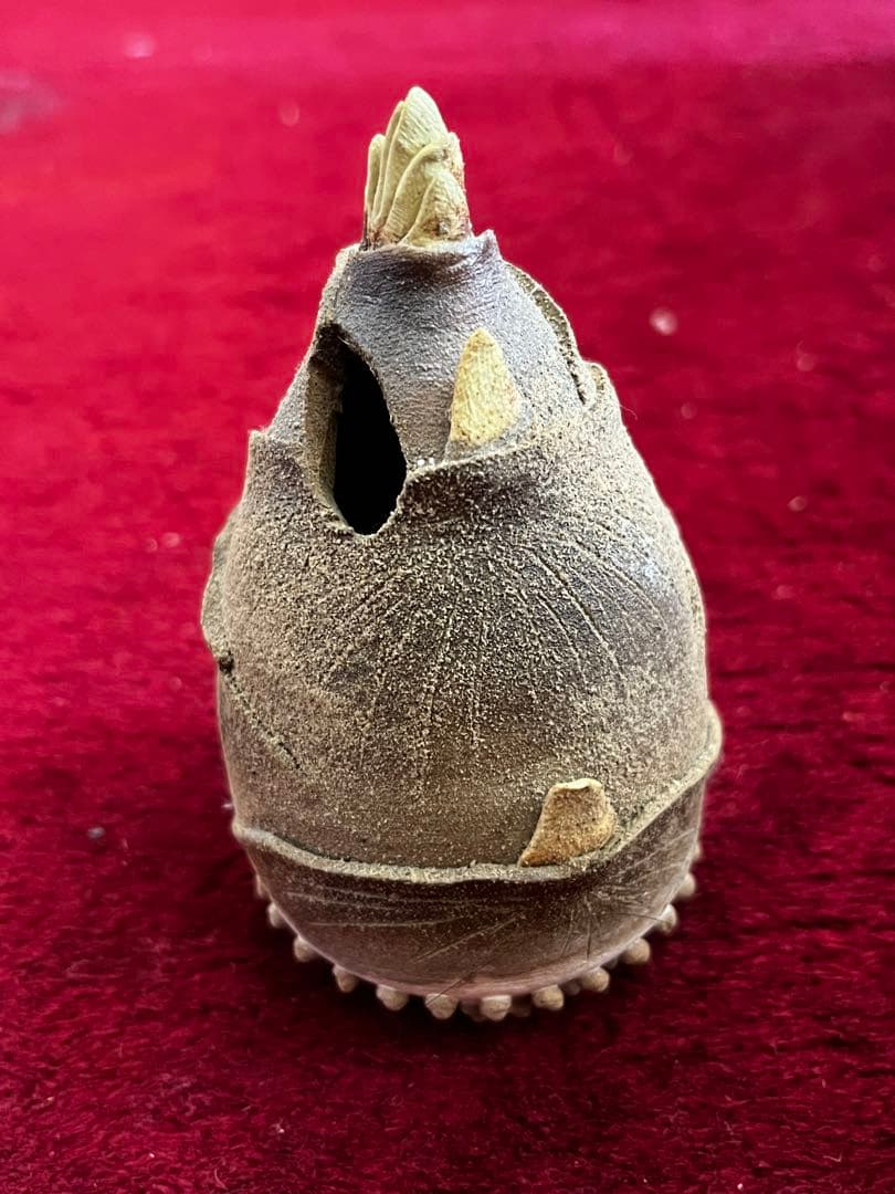 蒲池焼　竹の子　筍　陶器　置物　一輪挿し　細かな欠けあり