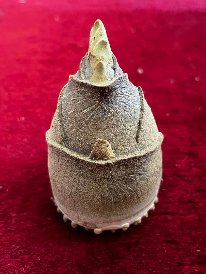 蒲池焼　竹の子　筍　陶器　置物　一輪挿し　細かな欠けあり