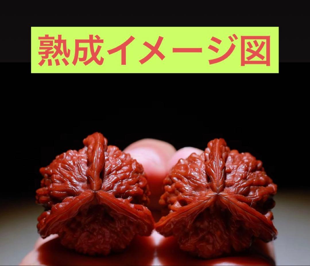 ❤️新入荷No.620 文玩核桃 盘山 三ムキ(ベンツマーク)文玩袋ブラシセット