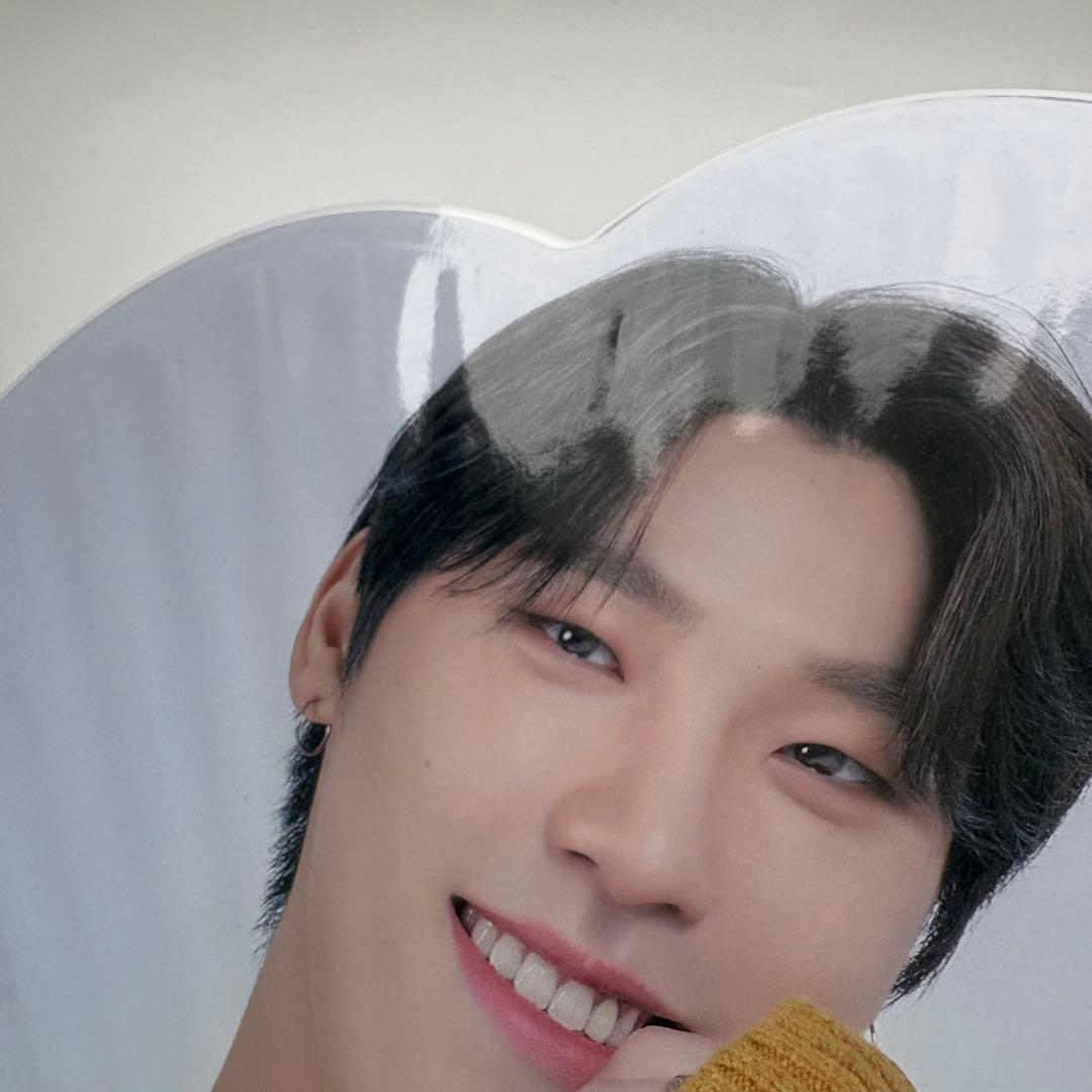 seventeen caratland 2020 うちわ　団扇　ピケット　ディノ