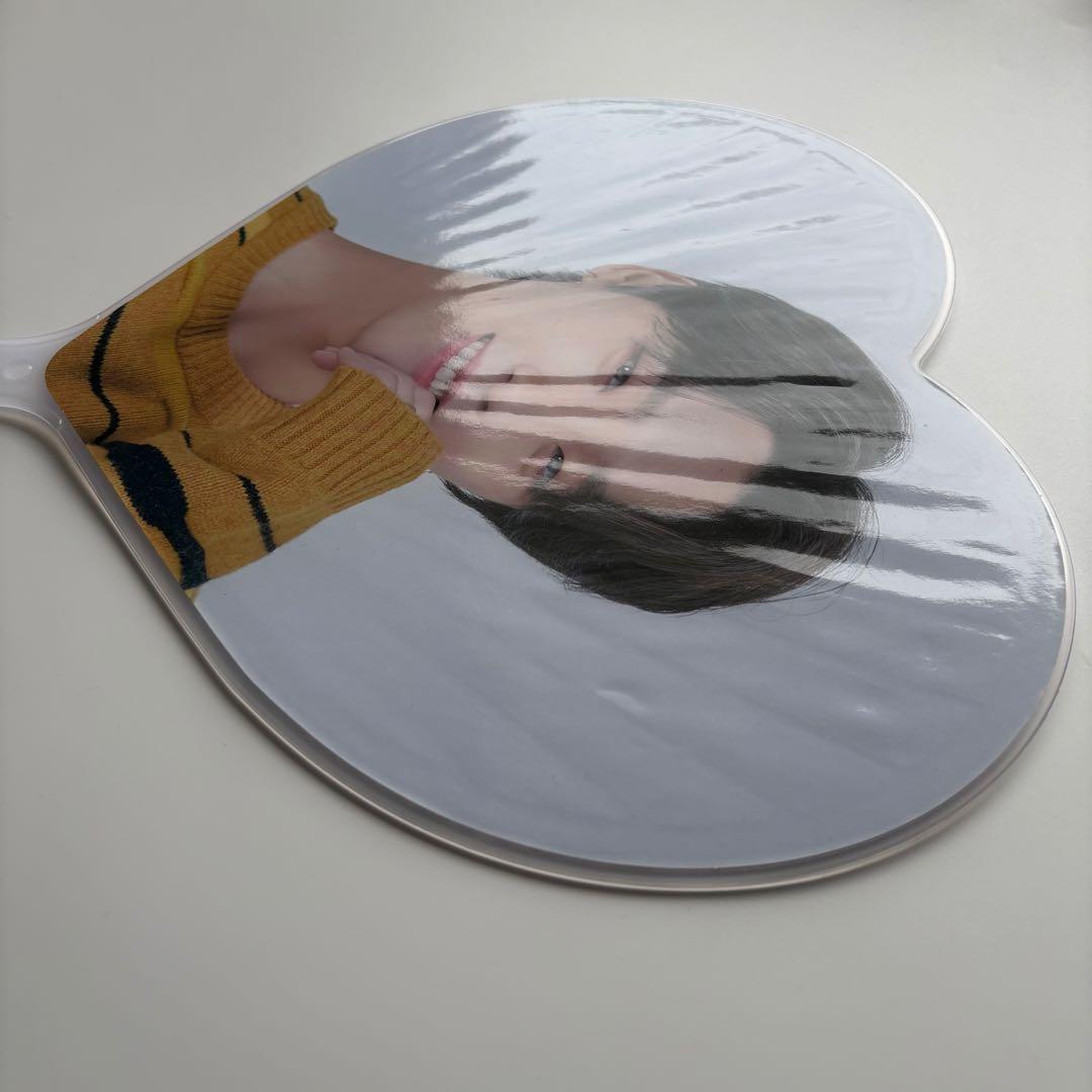 seventeen caratland 2020 うちわ　団扇　ピケット　ディノ