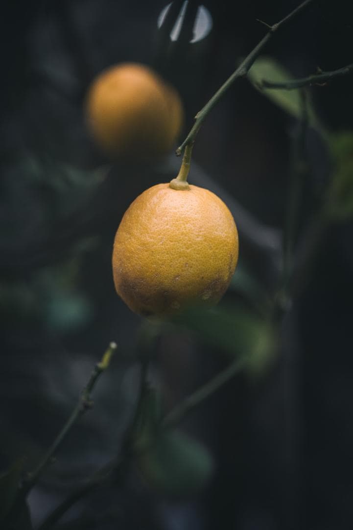 外観美品！沈胴の巨人！Leica Elmar M 90mm F4 沈胴