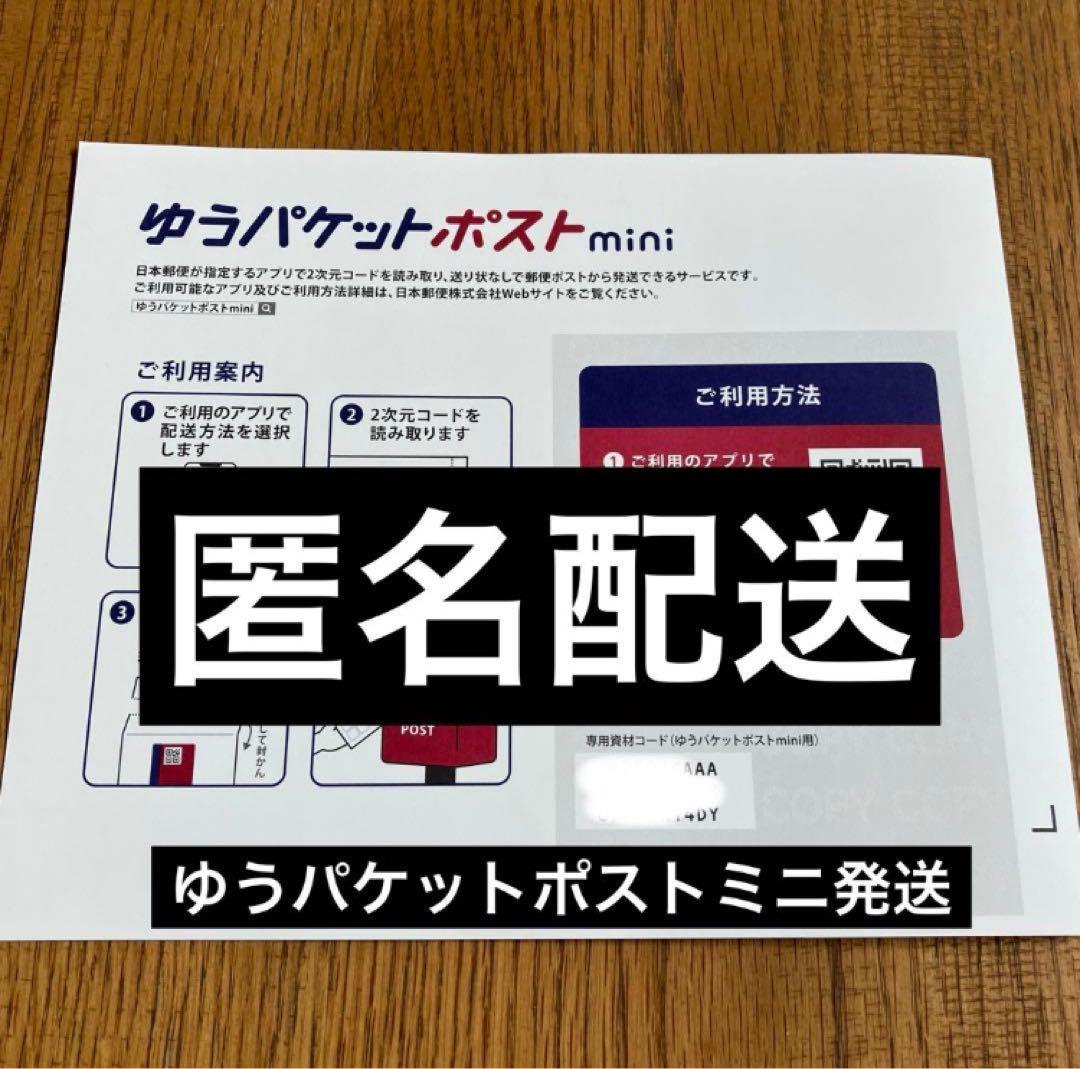 匿名配送【オークション】REZA産　イラン株　長棘　アガベ　タランチュラ