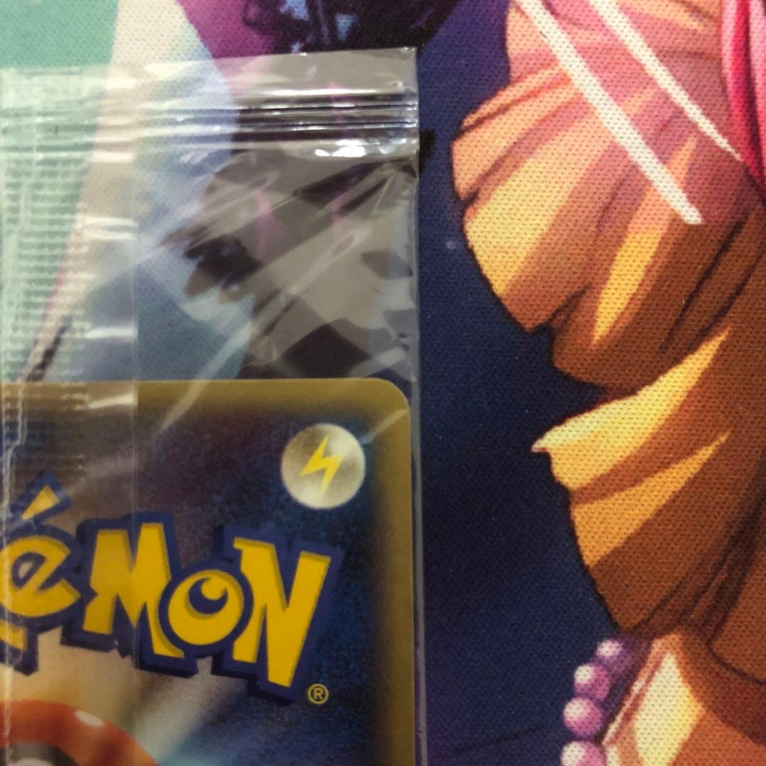 ポケモンカード ポケパーク プロモ 未開封 2枚セット まとめ売り