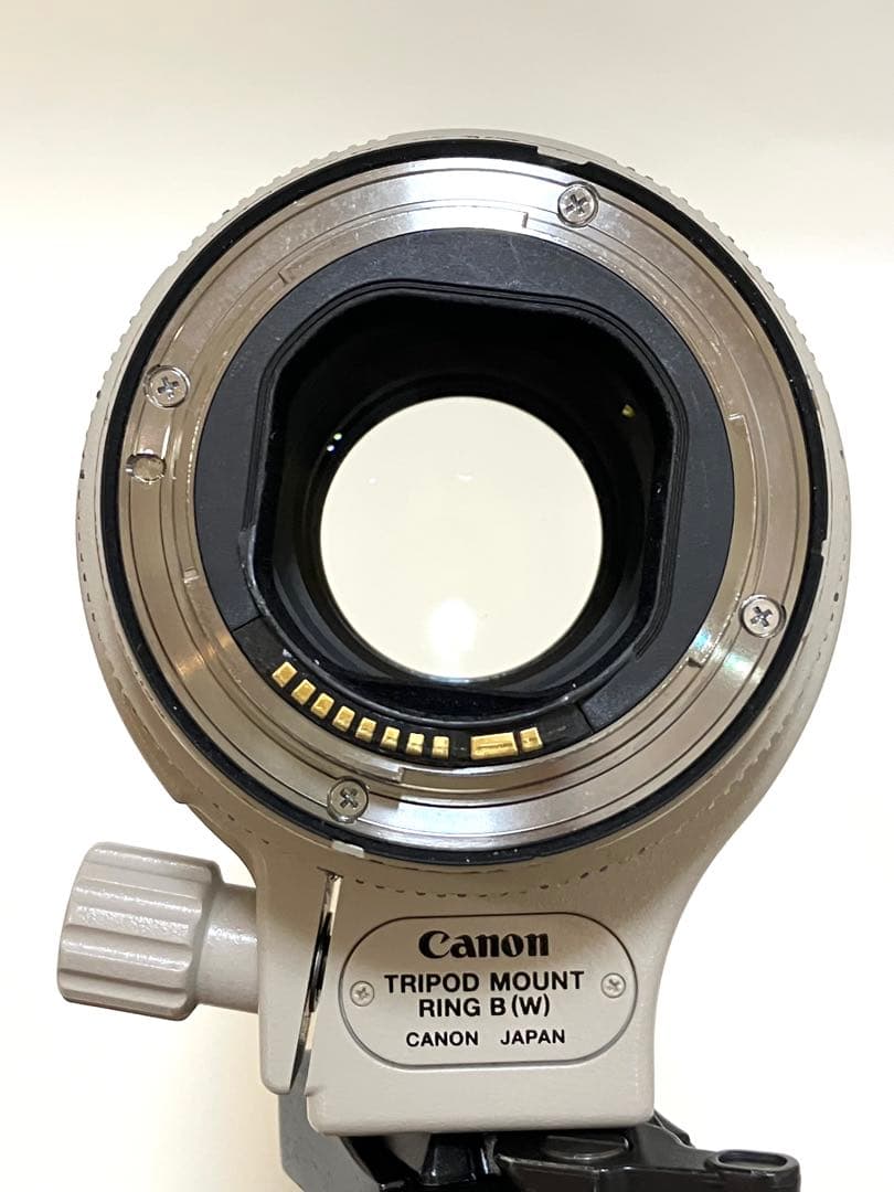 れい　Canon EF 70-200mm f/2.8L IS II USM