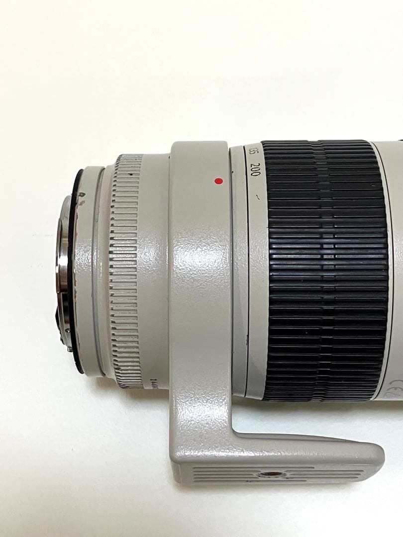 れい　Canon EF 70-200mm f/2.8L IS II USM