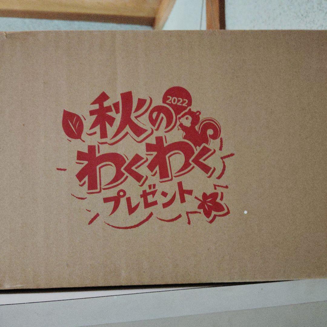 ブルーノ　コンパクト　ホットプレート