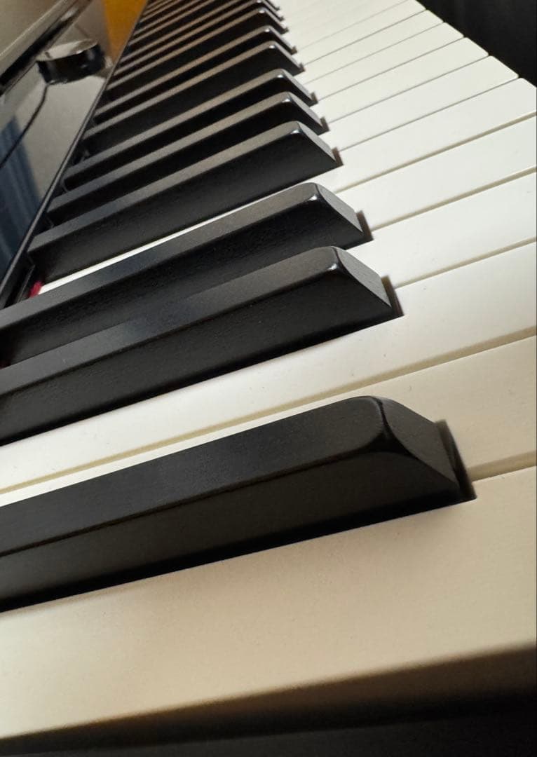 CASIO電子ピアノPX-S1000 ケース付 privia