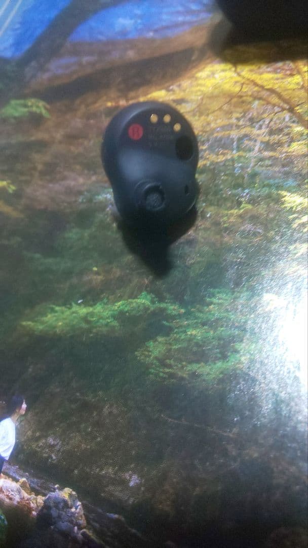 最安値　バッテリー新品交換　wf-1000xm4　ブラック　イヤホンのみ