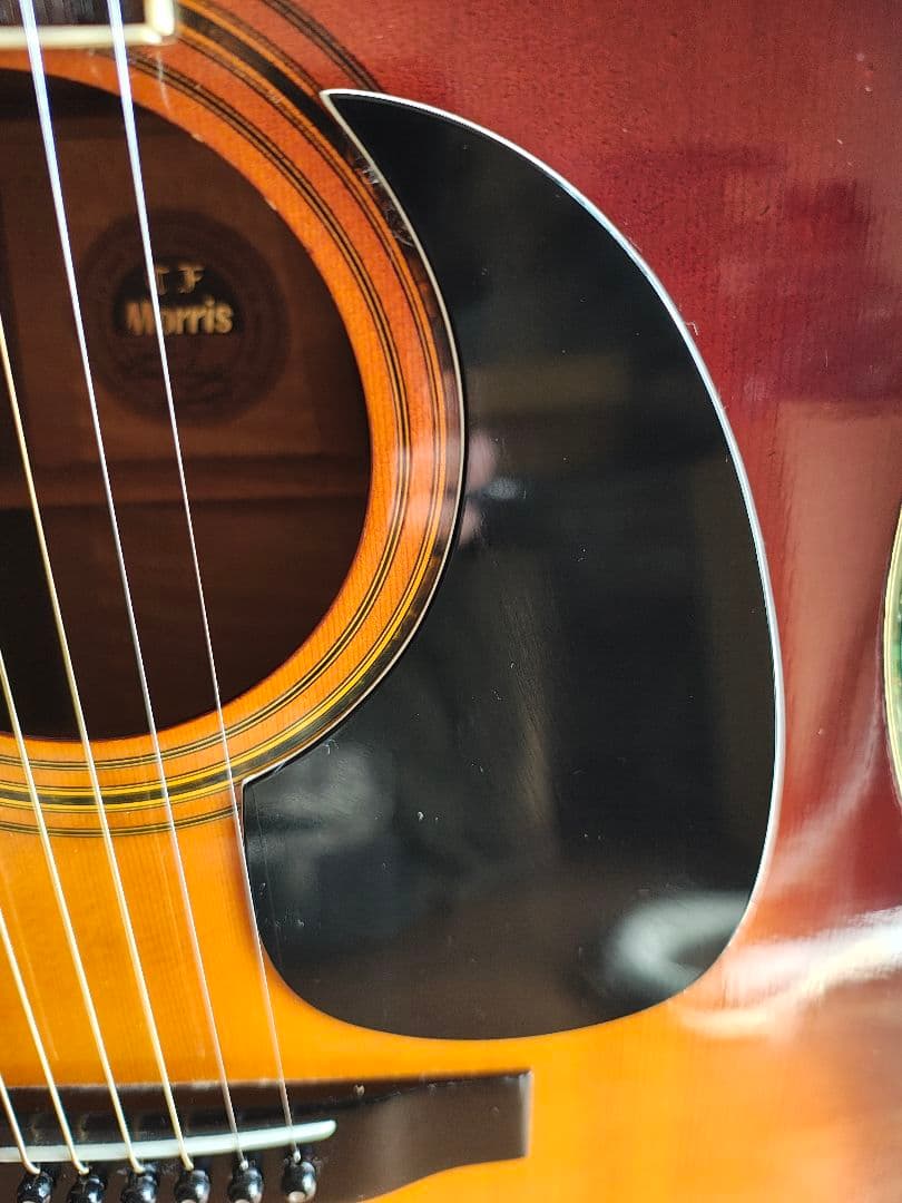 MORRIS　w50 サンバースト