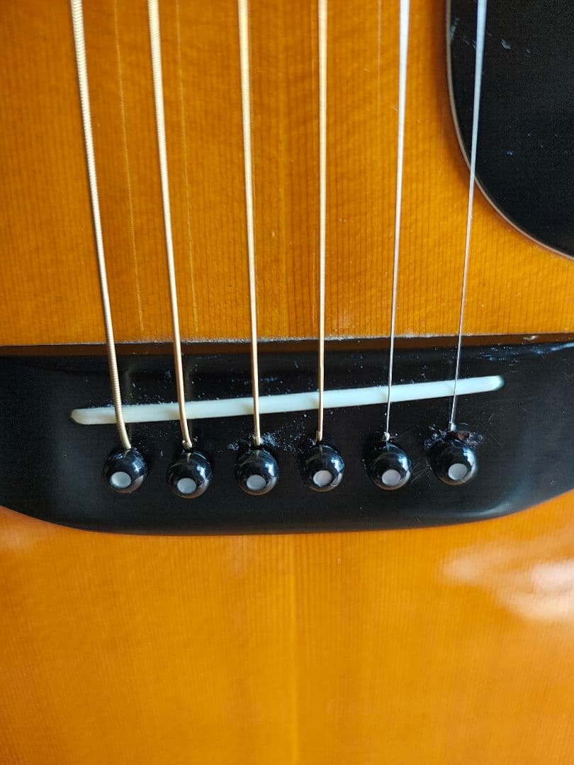 MORRIS　w50 サンバースト