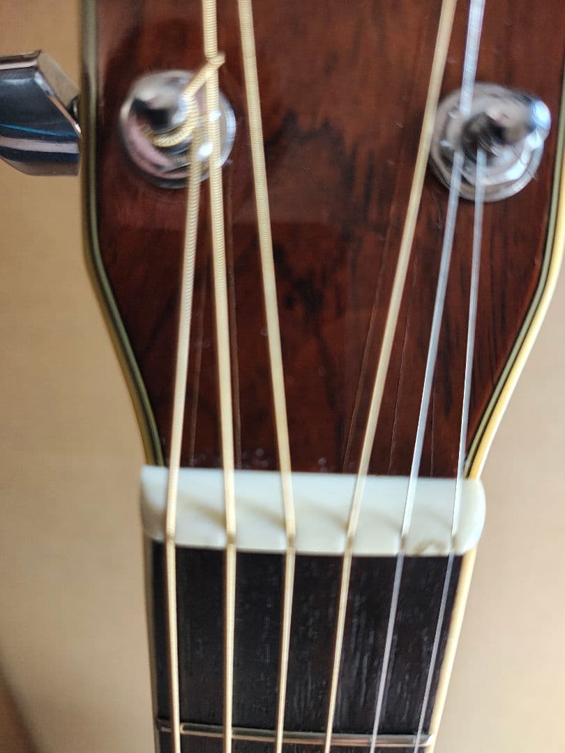 MORRIS　w50 サンバースト