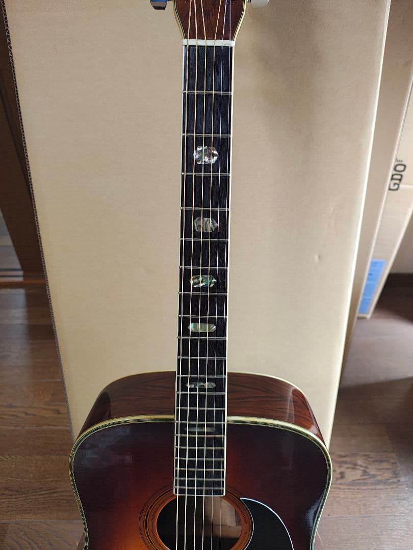 MORRIS　w50 サンバースト
