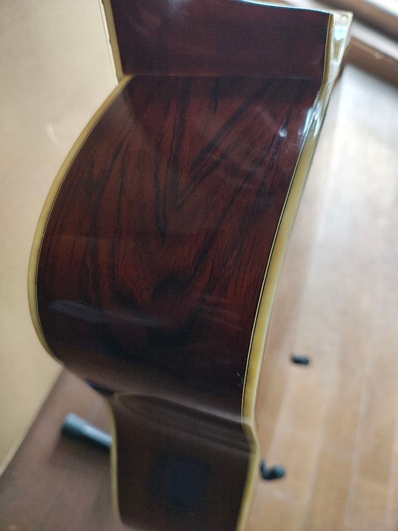 MORRIS　w50 サンバースト