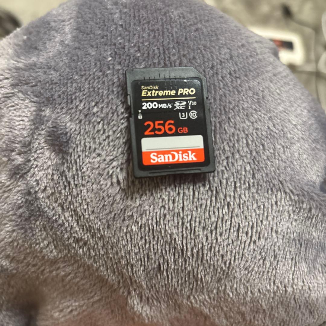Sony ZV-E10 + GP-VPT2BT グリップ＋256GB SDカード