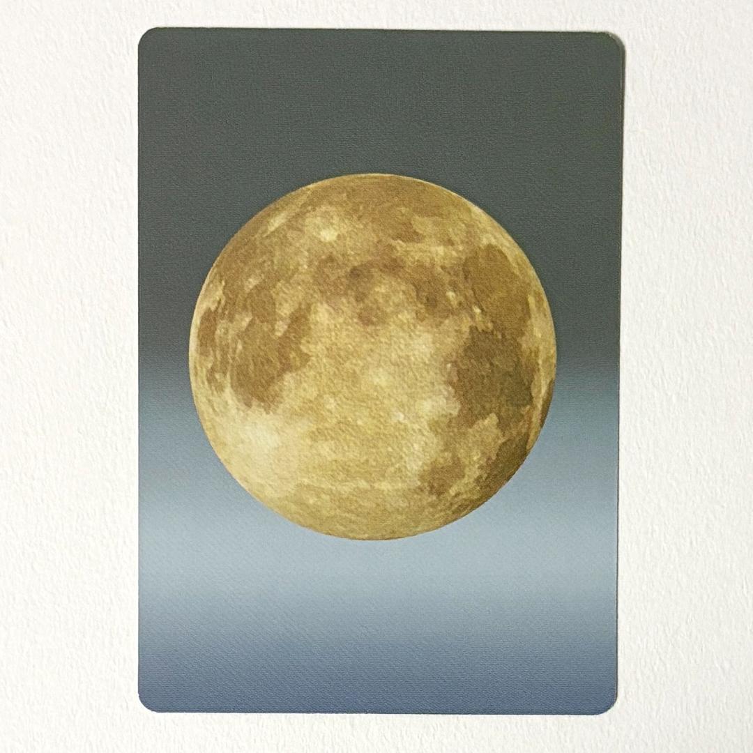 水木しげる 妖怪伝 妖怪博士 のんのんばあ 鬼太郎等23枚＋未開封パック セット