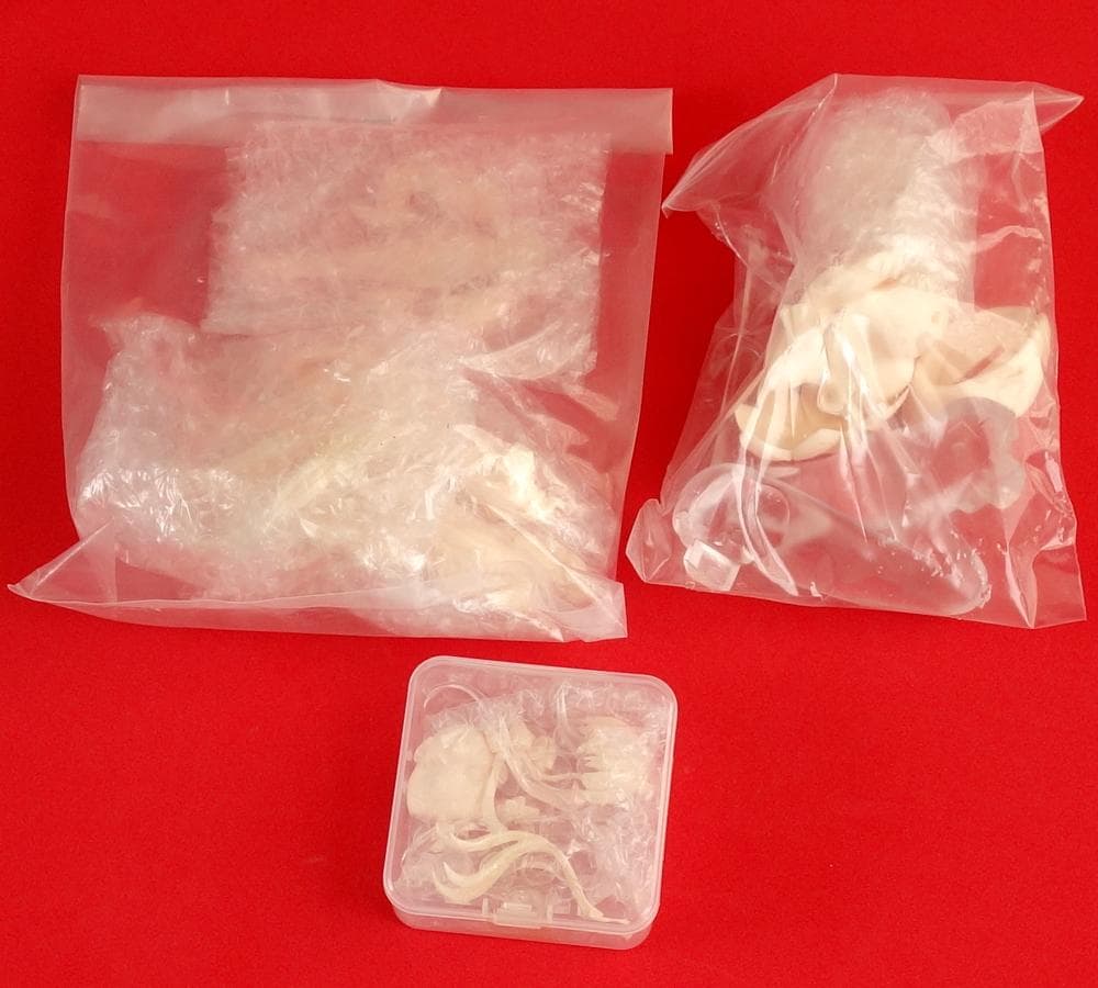 Fate　カーマ　ガレージキット　未組立品　SOFT cream