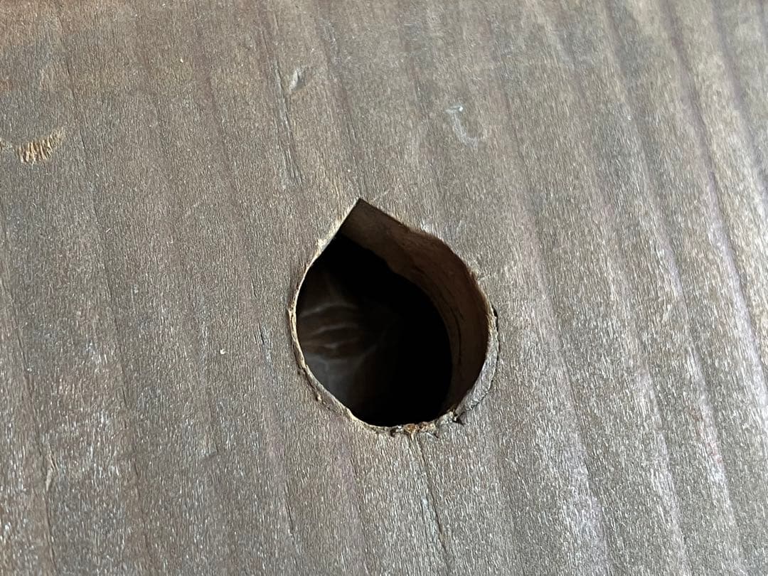 【重ね福 出雲系 恵比寿 大黒天 木彫 約6.5 ㎝ 厨子付き】昭和レトロ民藝