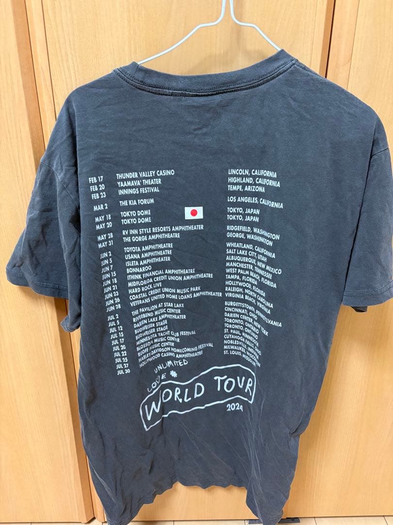 Red Hot Chili Peppers Tシャツ Lサイズ 2024年ツアー
