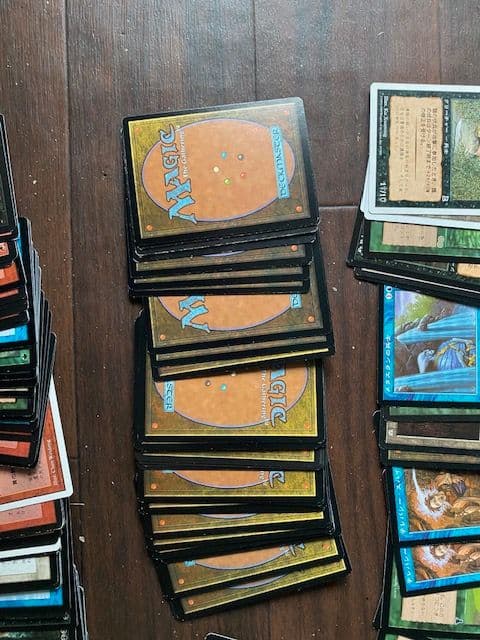 す*く様 大量 Magic: The Gathering コレクション（700枚