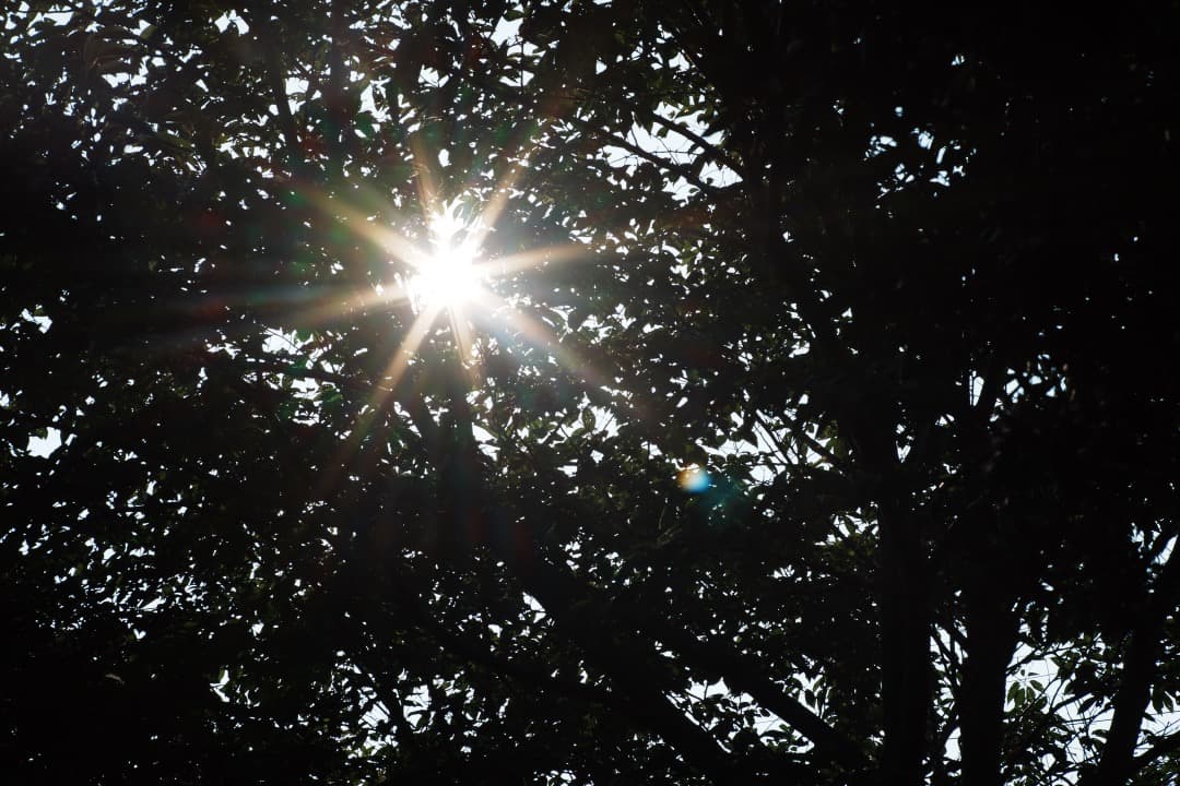 【美品】Carl Zeiss Planar 85mm F1.4 MMJ 897