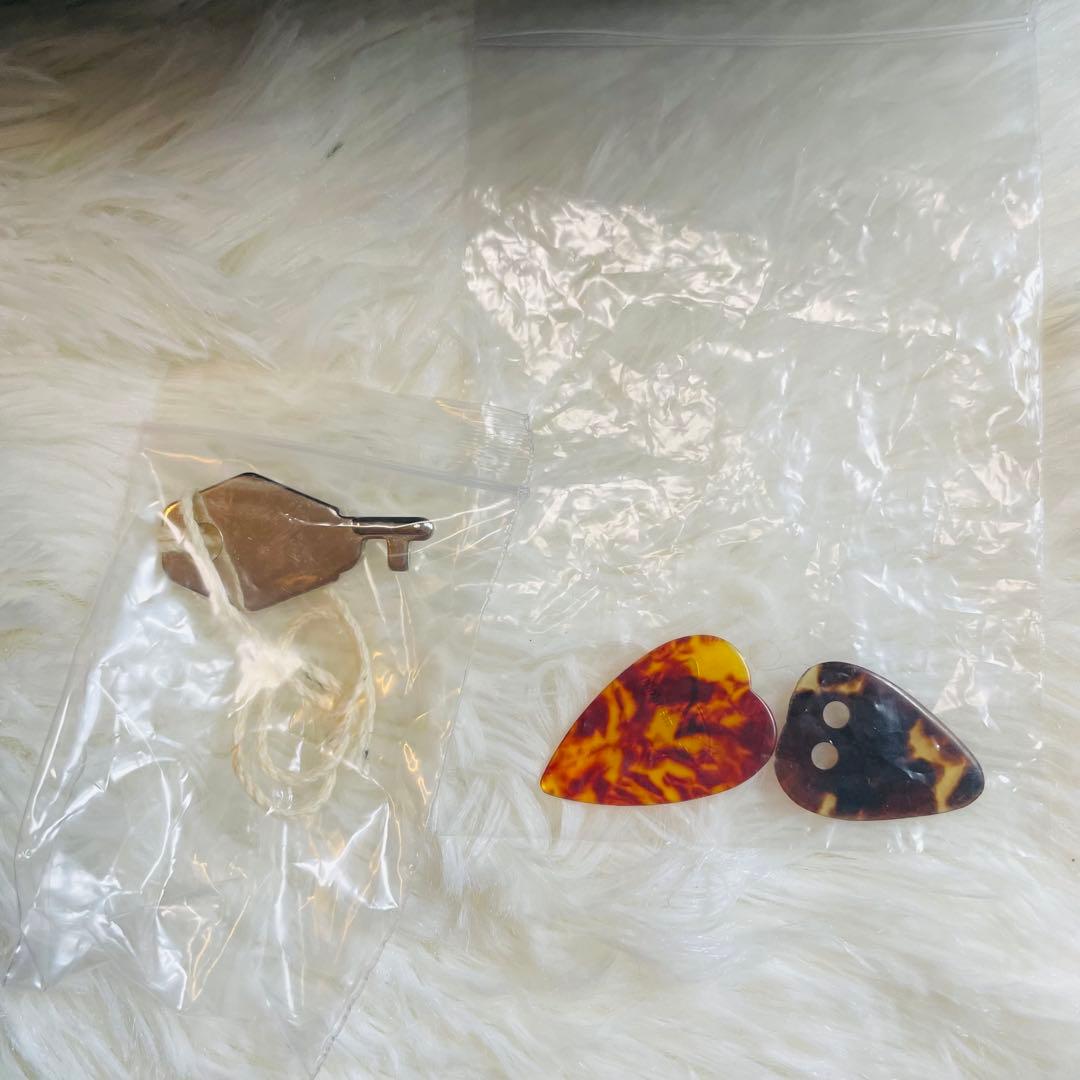 渡辺精次 特400 マンドリン 超美品 ケース付