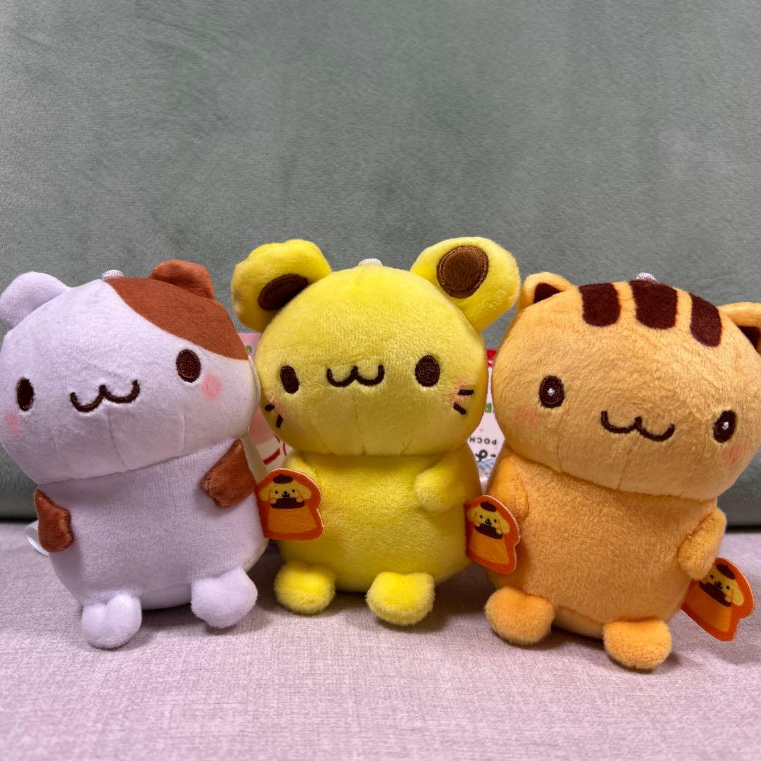 ポムポムプリン チームプリン　ぽちゃちま　ゆるかわサンリオキャラクターズ即日発送