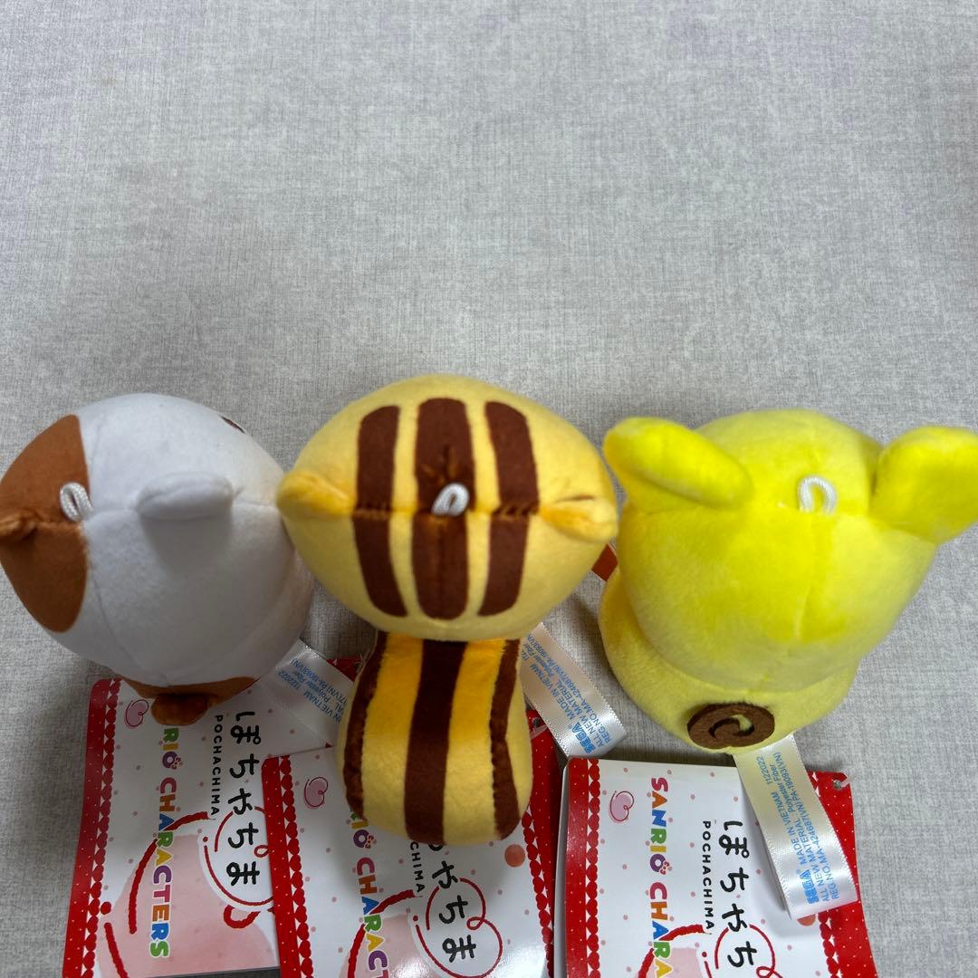 ポムポムプリン チームプリン　ぽちゃちま　ゆるかわサンリオキャラクターズ即日発送