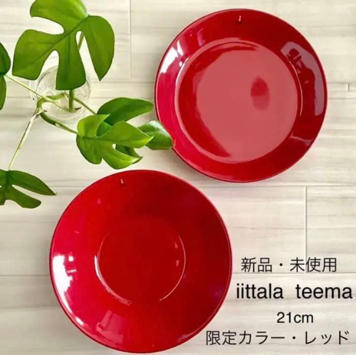 【新品・未使用】イッタラ ★ プレート＆ボウル 2個セット