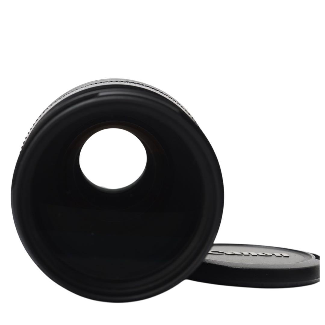 美品 Canon EOS 40D ダブルレンズ 望遠300mm バッグ