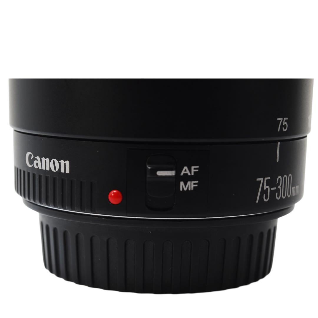 美品 Canon EOS 40D ダブルレンズ 望遠300mm バッグ