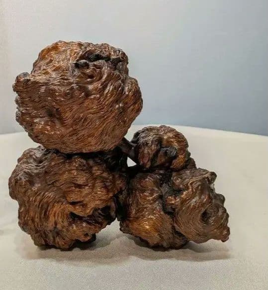 瘤木　こぶ木　木製　置物　自然物　オブジェ　アート　貴重