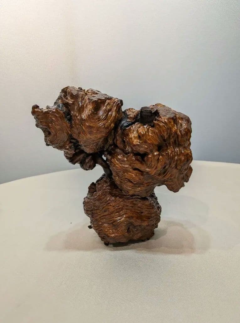瘤木　こぶ木　木製　置物　自然物　オブジェ　アート　貴重