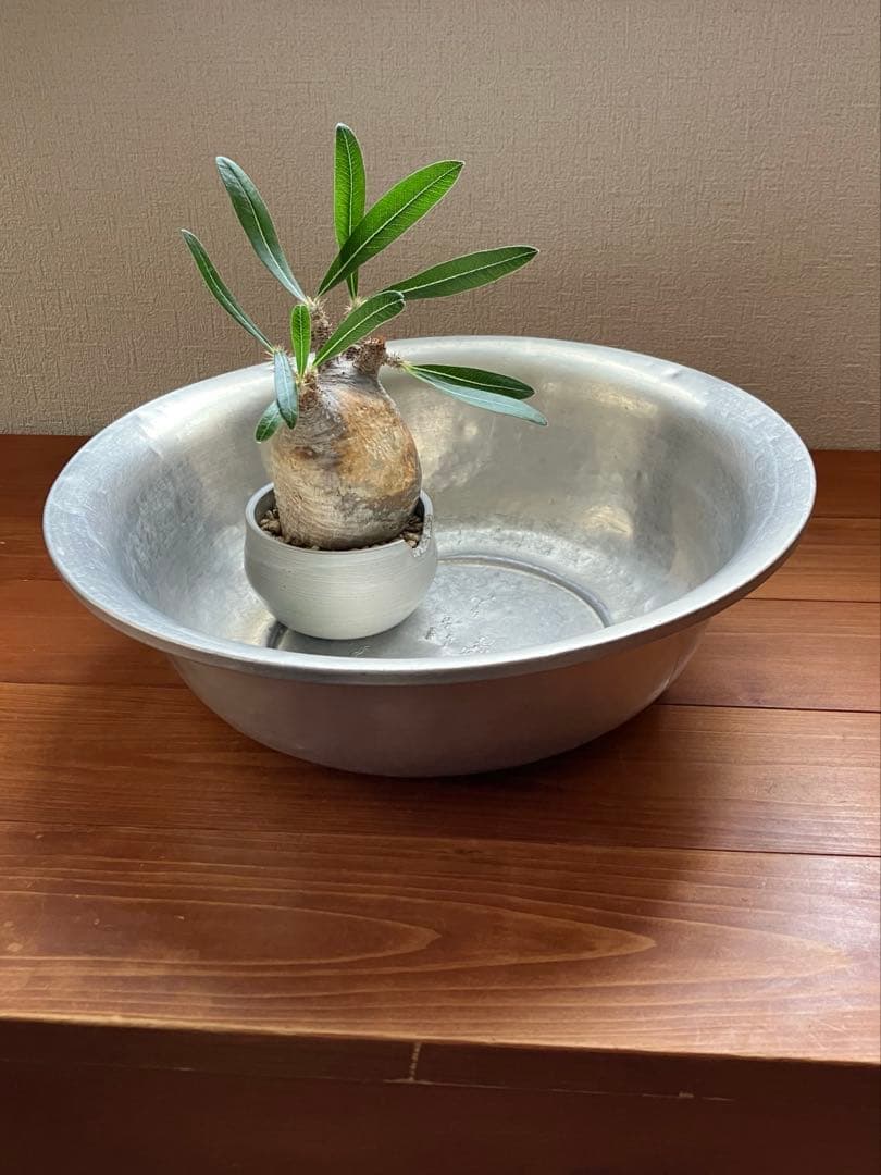 昭和レトロ⭐︎洗面器